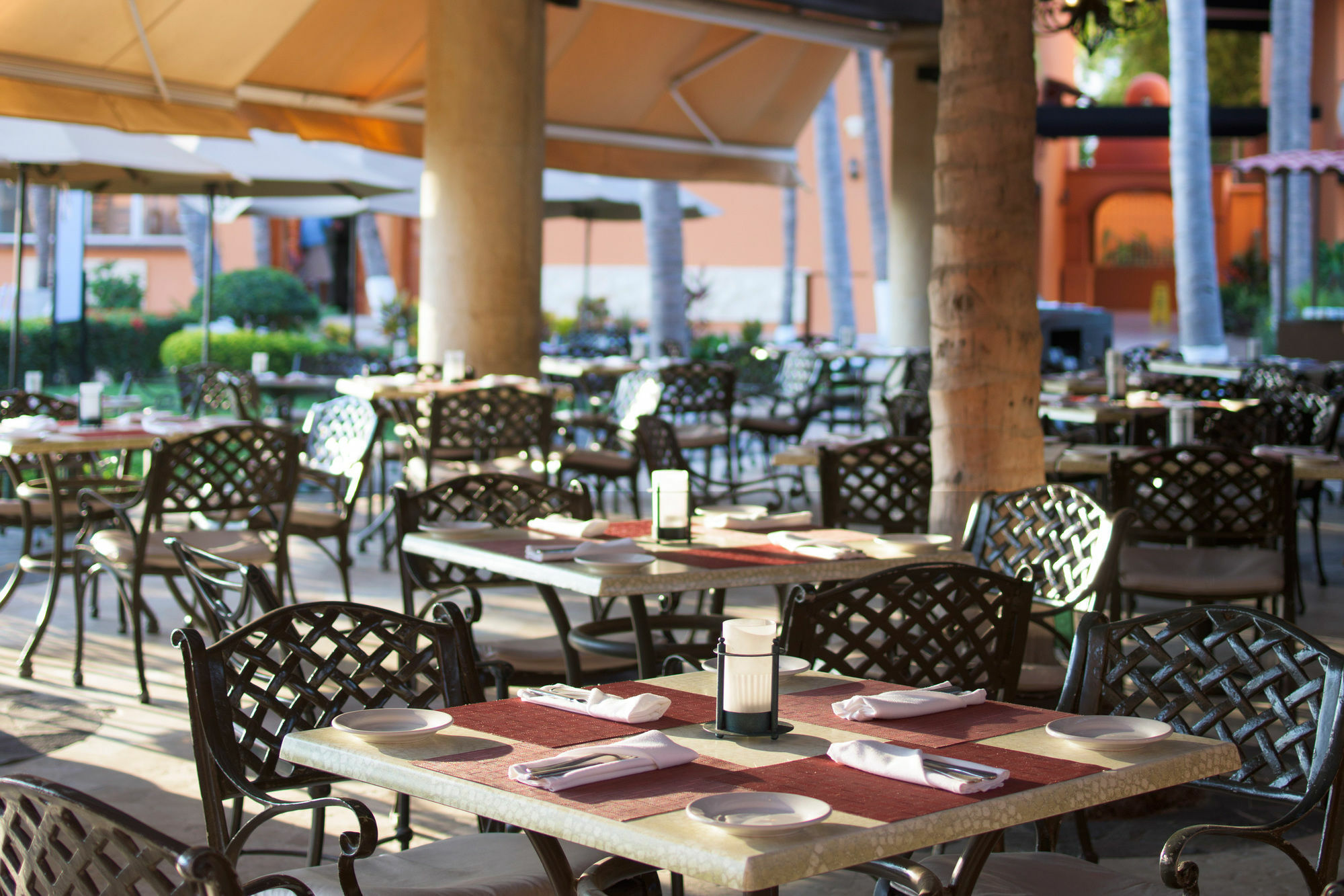 Mexican Experience By Del Palmar Hotel
